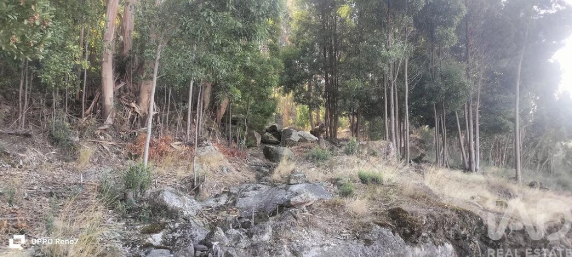 Terreno para Venda em Guilhufe e Urrô Foto 19