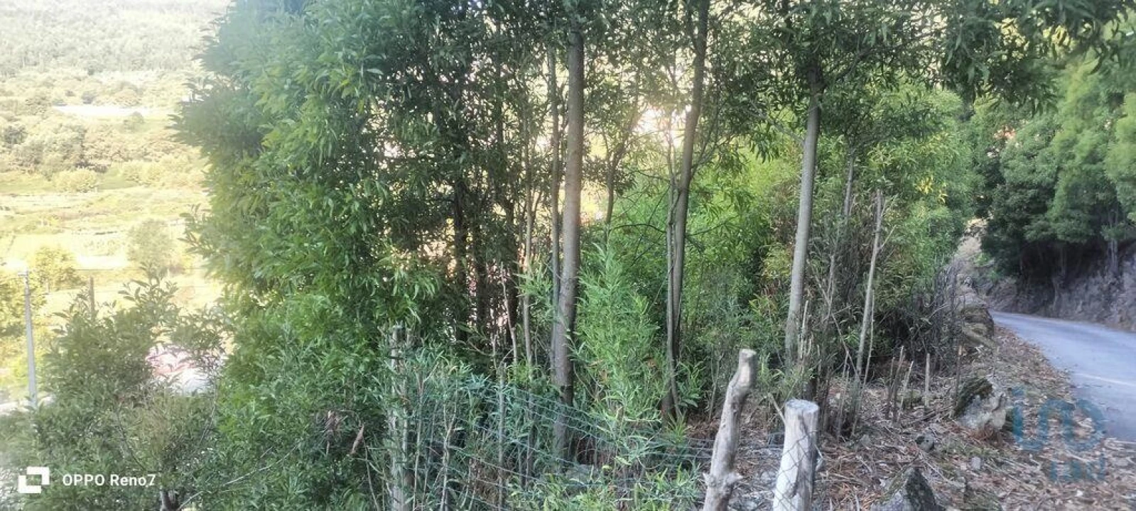 Terreno para Venda em Guilhufe e Urrô Foto 8