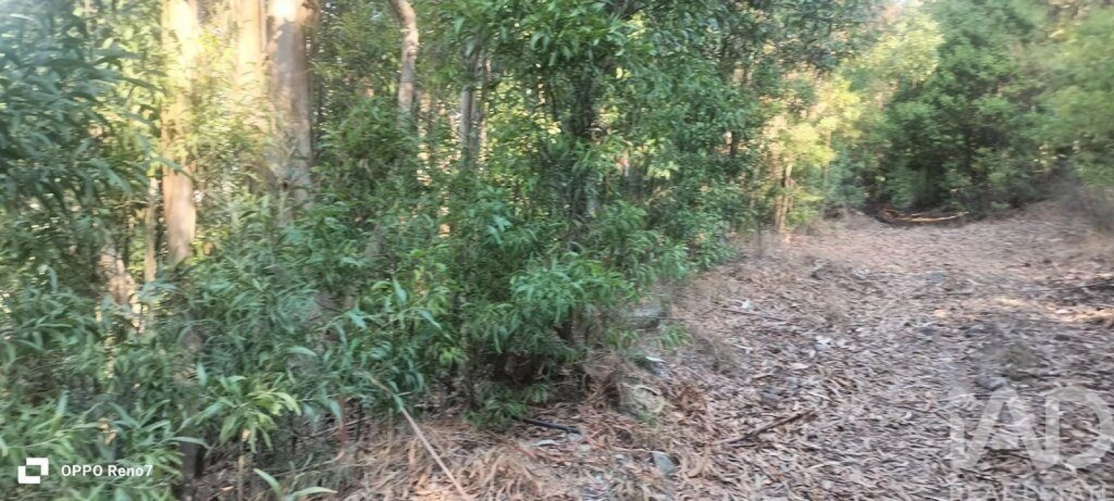 Terreno para Venda em Guilhufe e Urrô Foto 20