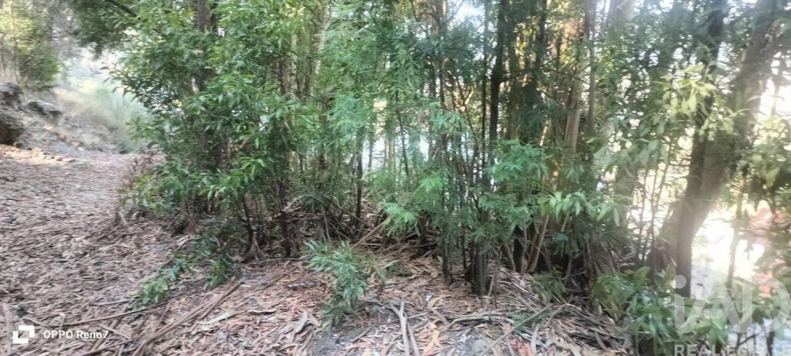 Terreno para Venda em Guilhufe e Urrô Foto 21