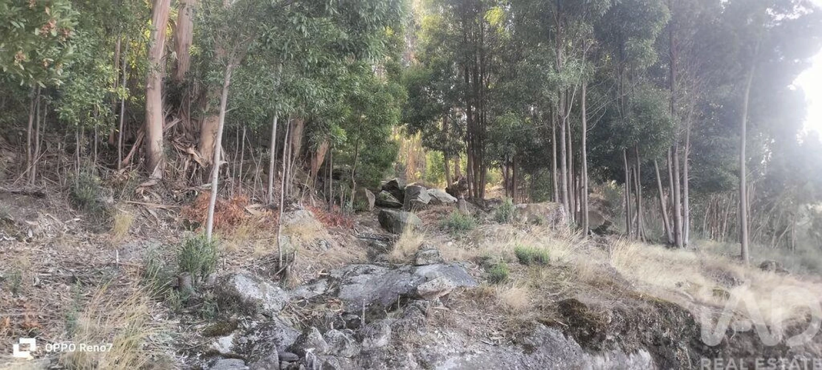 Terreno para Venda em Guilhufe e Urrô Foto 19