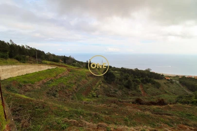 Terreno para Venda em Santa Cruz