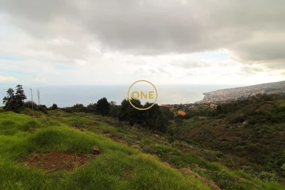 Terreno para Venda em Santa Cruz