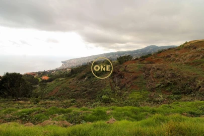 Terreno para Venda em Santa Cruz