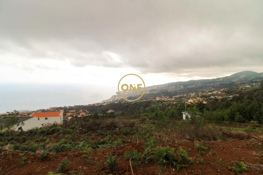 Terreno para Venda em Santa Cruz Foto 4