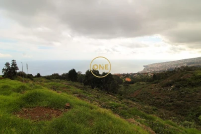 Terreno para Venda em Santa Cruz