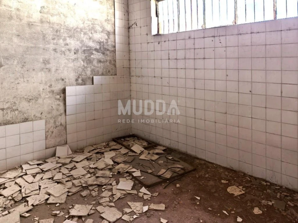 Armazém para Venda em Benedita Foto 9