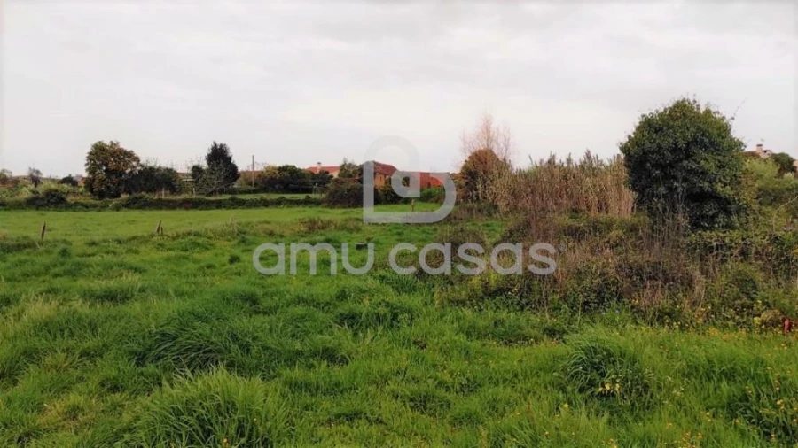 Moradia T2 para Venda em Canelas e Fermelã Foto 19