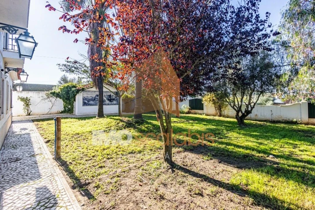 Moradia T5 para Venda em Alpiarça Foto 121