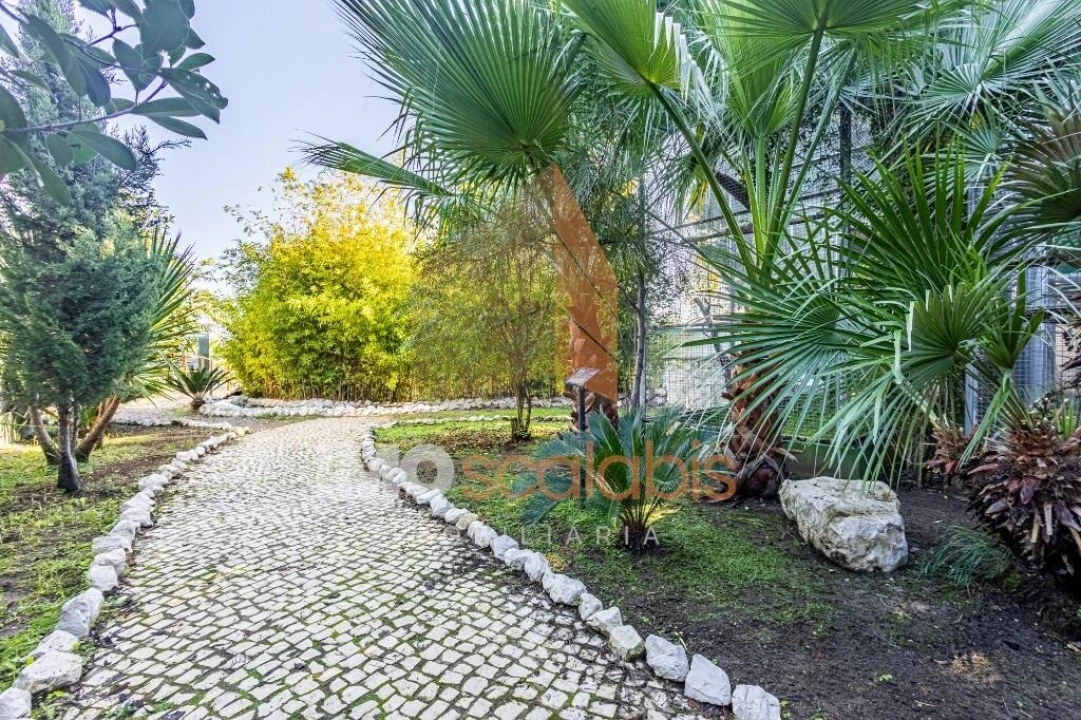 Moradia T5 para Venda em Alpiarça Foto 99