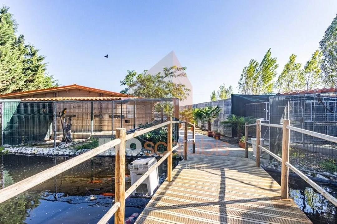 Moradia T5 para Venda em Alpiarça Foto 104