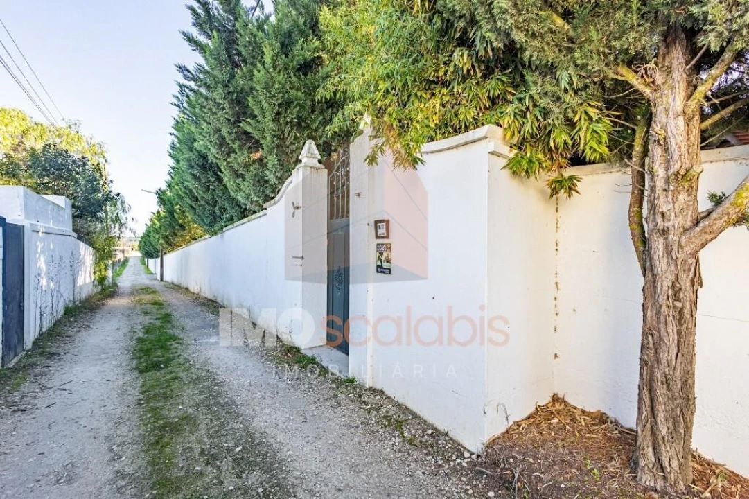 Moradia T5 para Venda em Alpiarça Foto 127