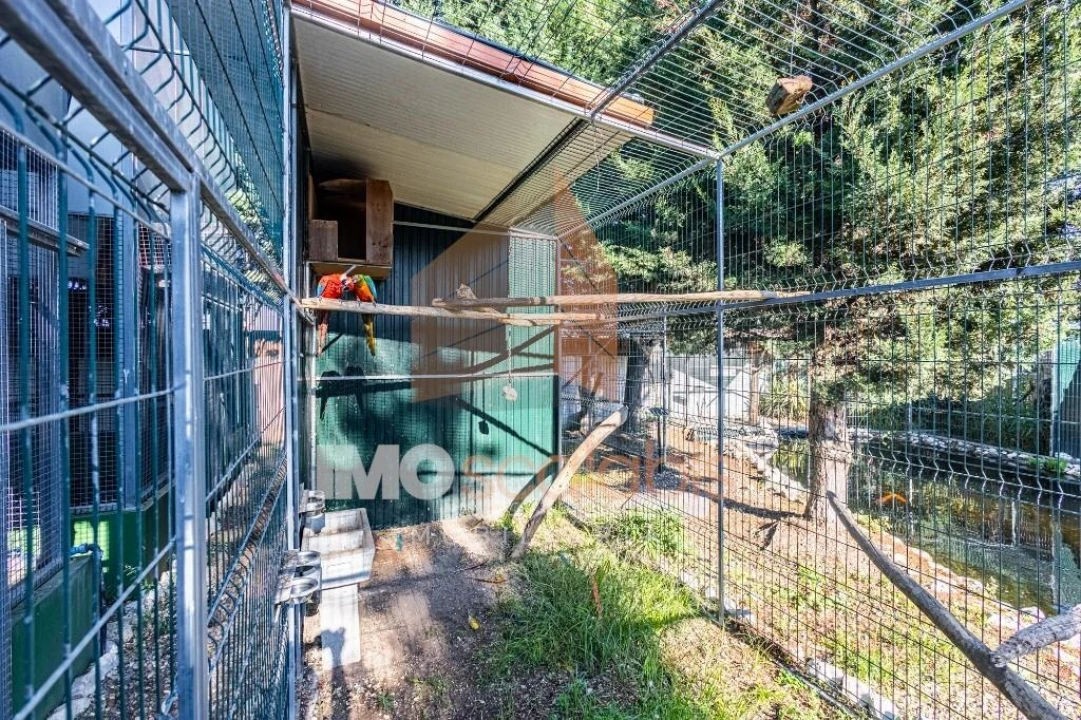 Moradia T5 para Venda em Alpiarça Foto 101