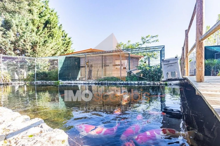 Moradia T5 para Venda em Alpiarça Foto 103