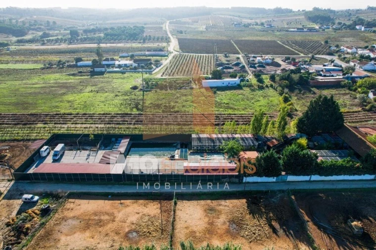 Moradia T5 para Venda em Alpiarça Foto 12