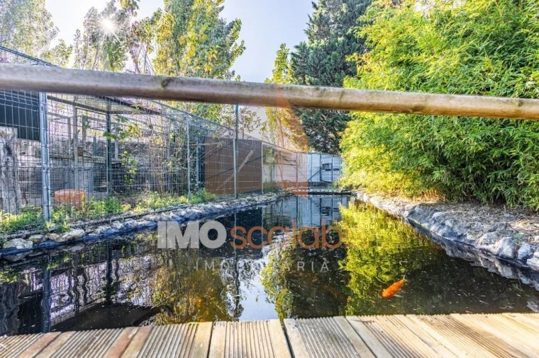 Moradia T5 para Venda em Alpiarça Foto 102