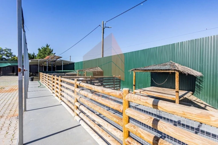 Moradia T5 para Venda em Alpiarça Foto 113