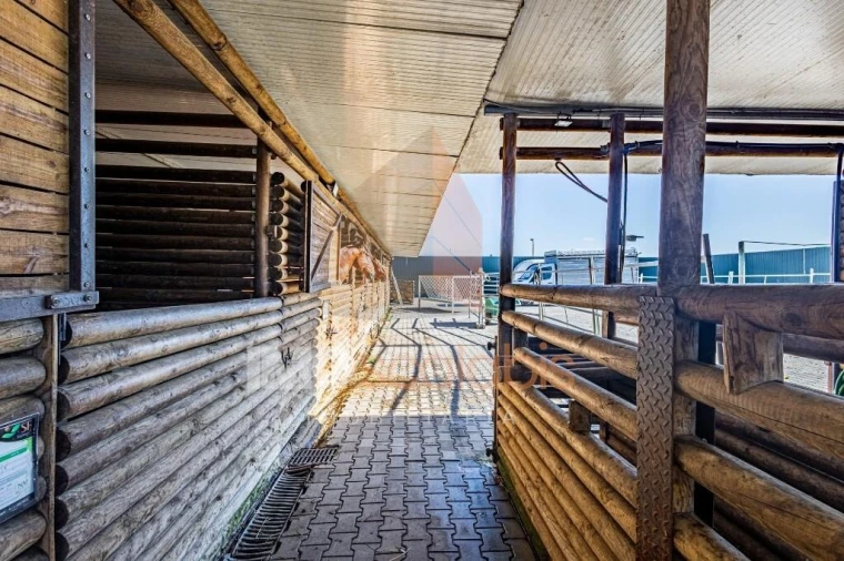 Moradia T5 para Venda em Alpiarça Foto 115