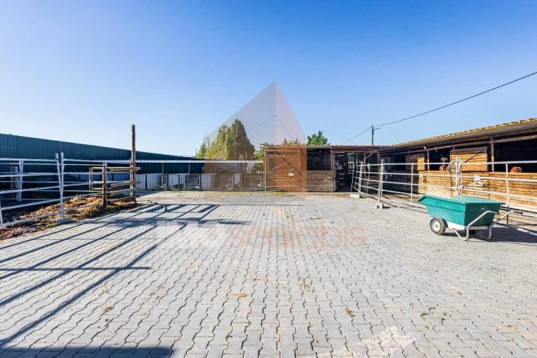 Moradia T5 para Venda em Alpiarça Foto 120