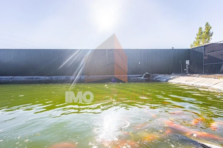 Moradia T5 para Venda em Alpiarça Foto 111