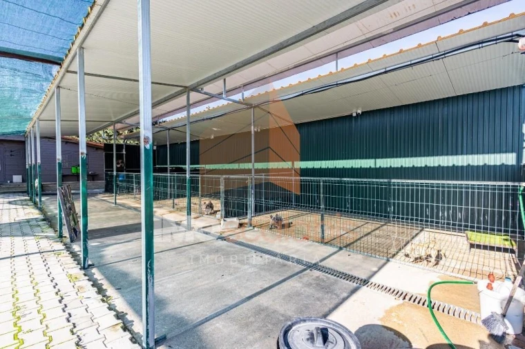 Moradia T5 para Venda em Alpiarça Foto 108