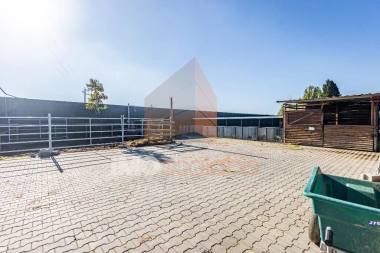 Moradia T5 para Venda em Alpiarça Foto 117