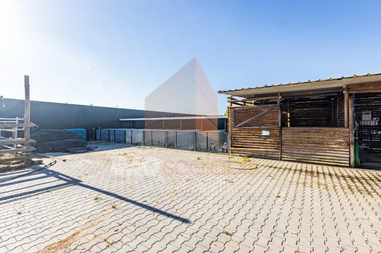 Moradia T5 para Venda em Alpiarça Foto 118