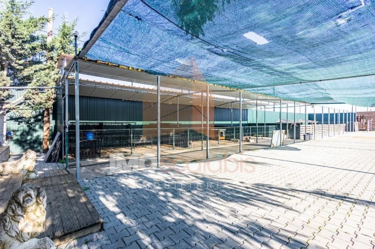 Moradia T5 para Venda em Alpiarça Foto 109