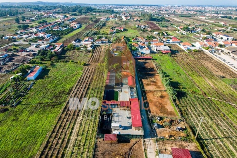 Moradia T5 para Venda em Alpiarça Foto 16