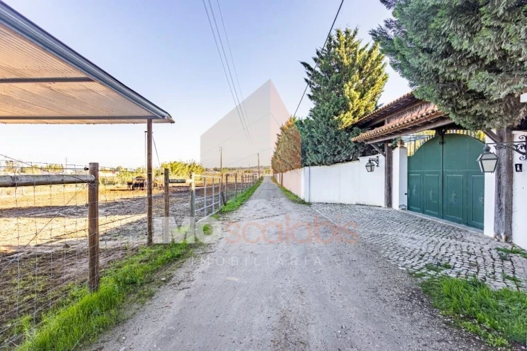 Moradia T5 para Venda em Alpiarça Foto 125