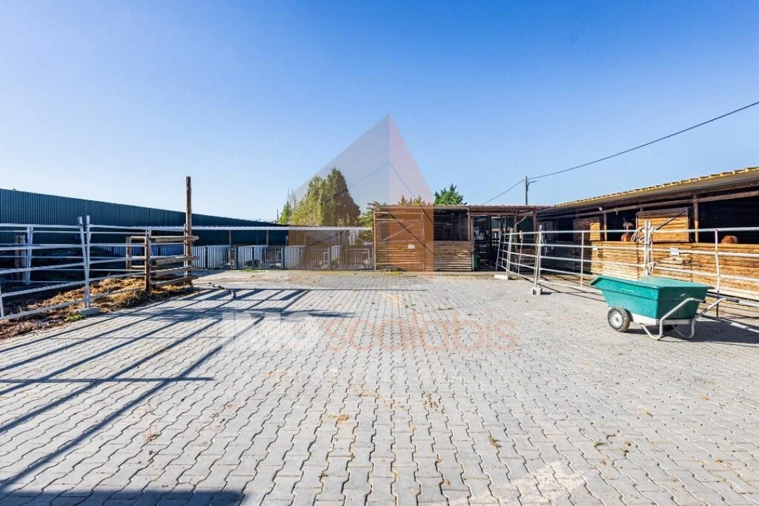 Moradia T5 para Venda em Alpiarça Foto 120