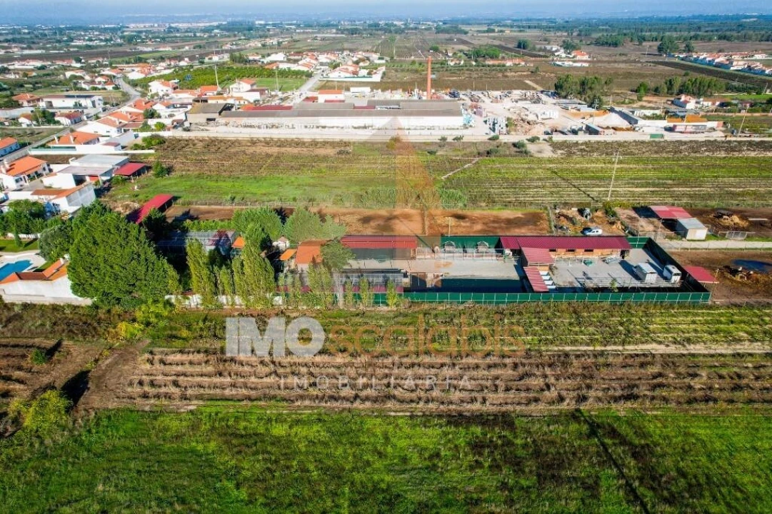 Moradia T5 para Venda em Alpiarça Foto 20