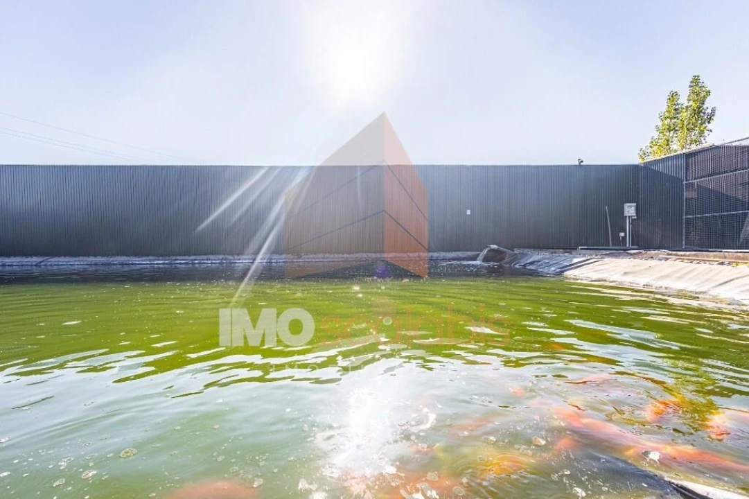 Moradia T5 para Venda em Alpiarça Foto 111