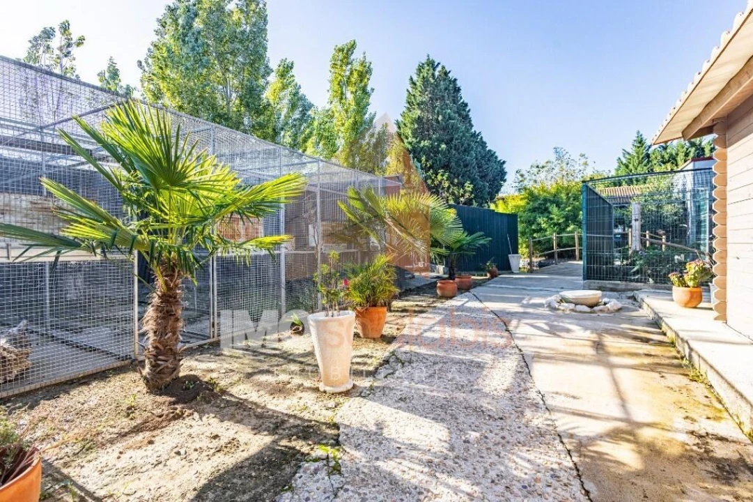 Moradia T5 para Venda em Alpiarça Foto 107