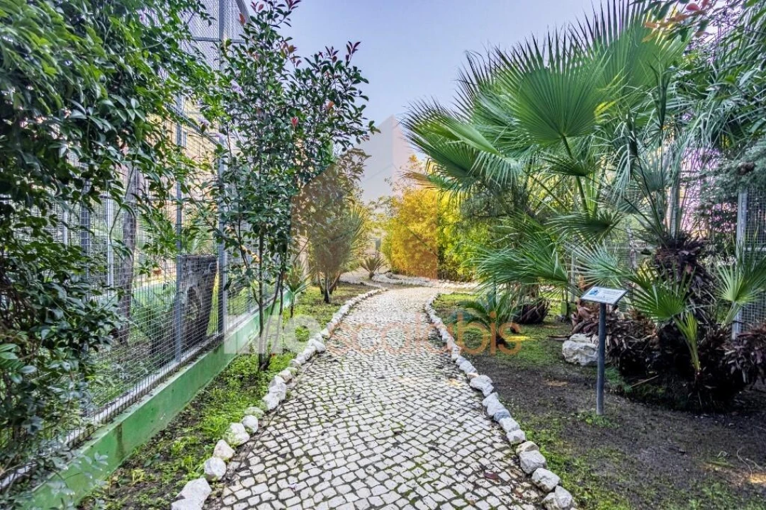 Moradia T5 para Venda em Alpiarça Foto 100