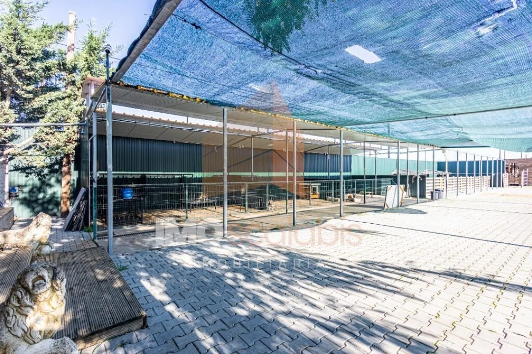 Moradia T5 para Venda em Alpiarça Foto 109