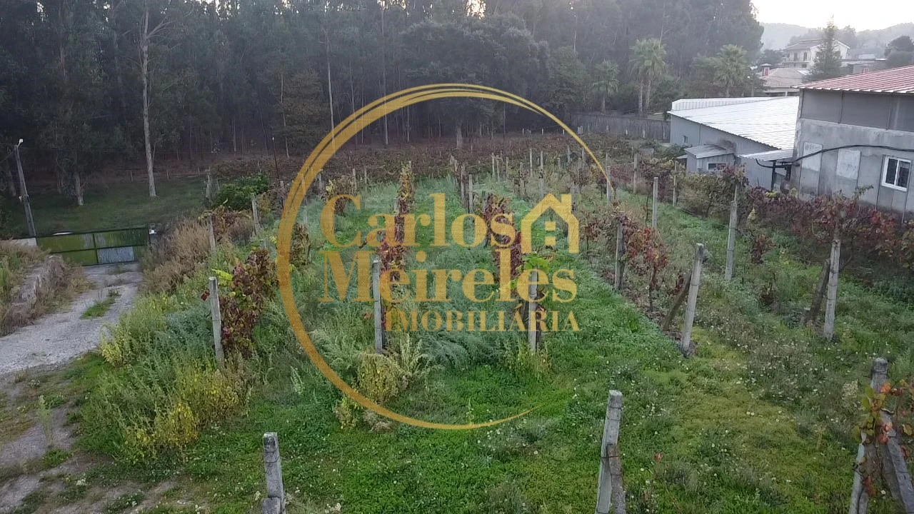 Armazém para Venda em Marrancos e Arcozelo Foto 6