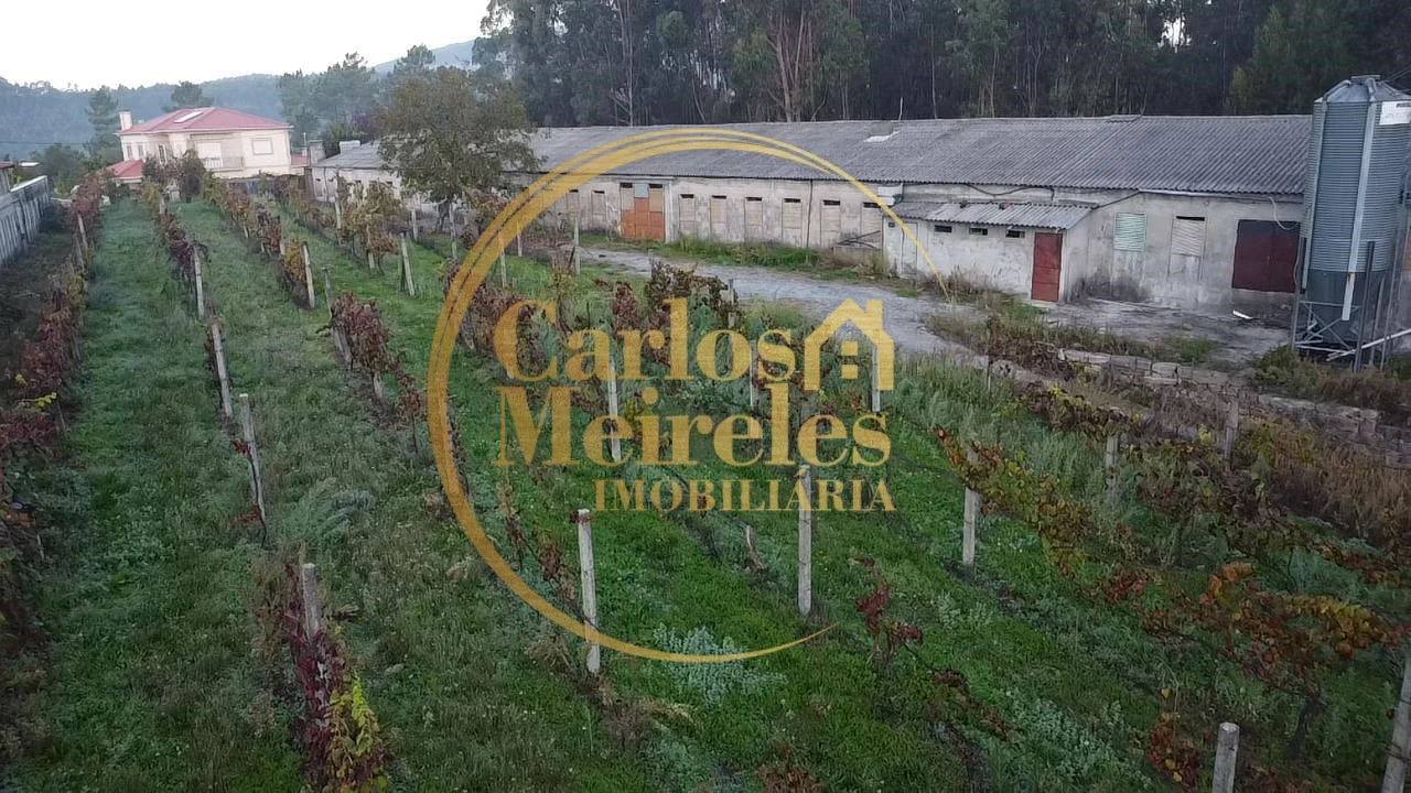 Armazém para Venda em Marrancos e Arcozelo Foto 8