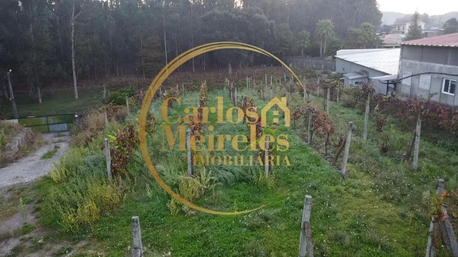 Armazém para Venda em Marrancos e Arcozelo Foto 6