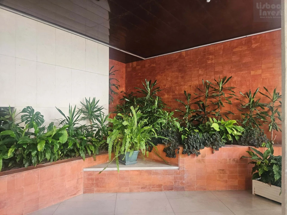 Apartamento T3 para Arrendamento em Avenidas Novas Foto 6