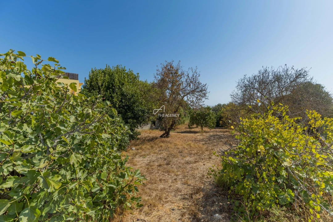 Moradia T3 para Venda em Olhão Foto 24