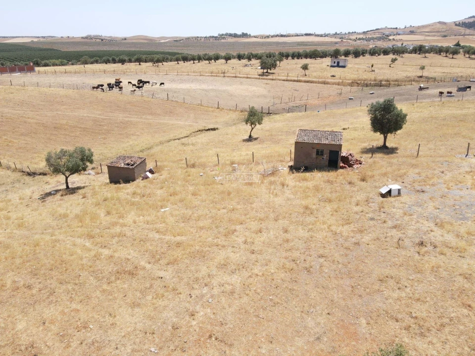 Terreno para Venda em Aljustrel e Rio de Moinhos Foto 23