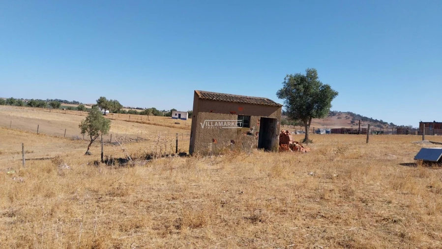 Terreno para Venda em Aljustrel e Rio de Moinhos Foto 14