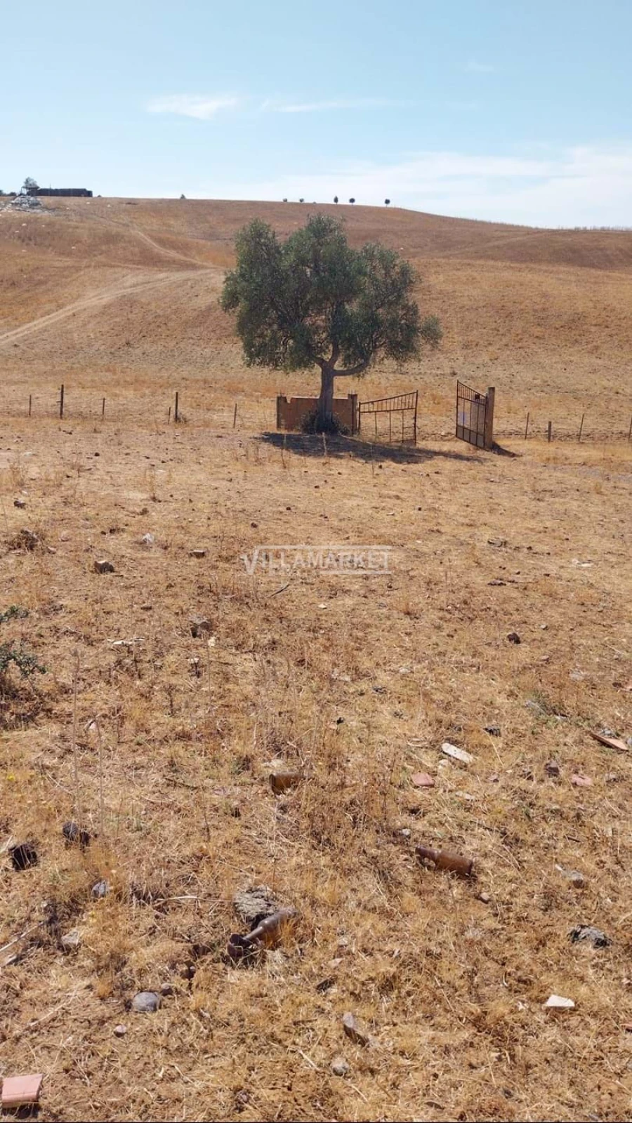 Terreno para Venda em Aljustrel e Rio de Moinhos Foto 10