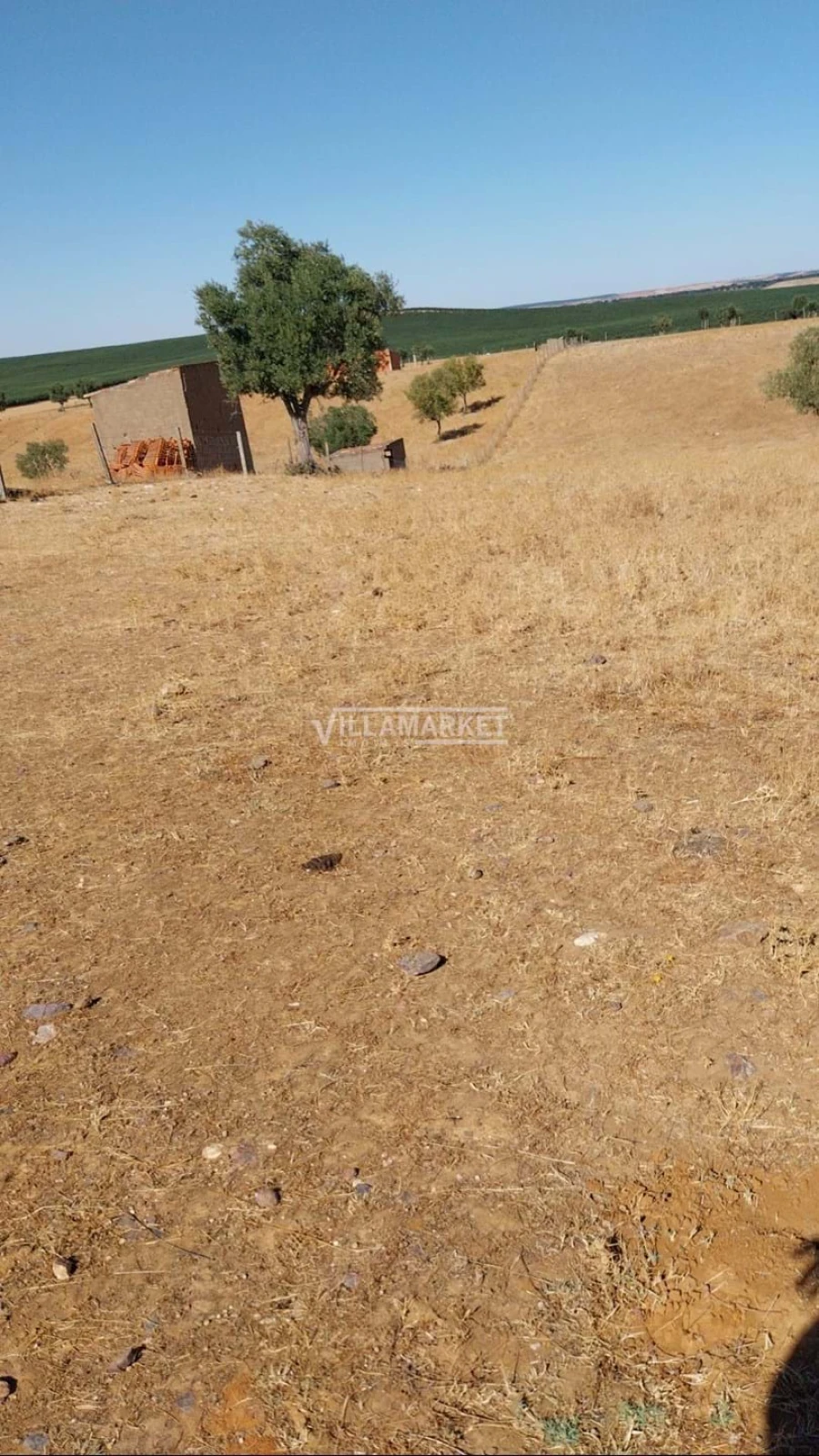 Terreno para Venda em Aljustrel e Rio de Moinhos Foto 7