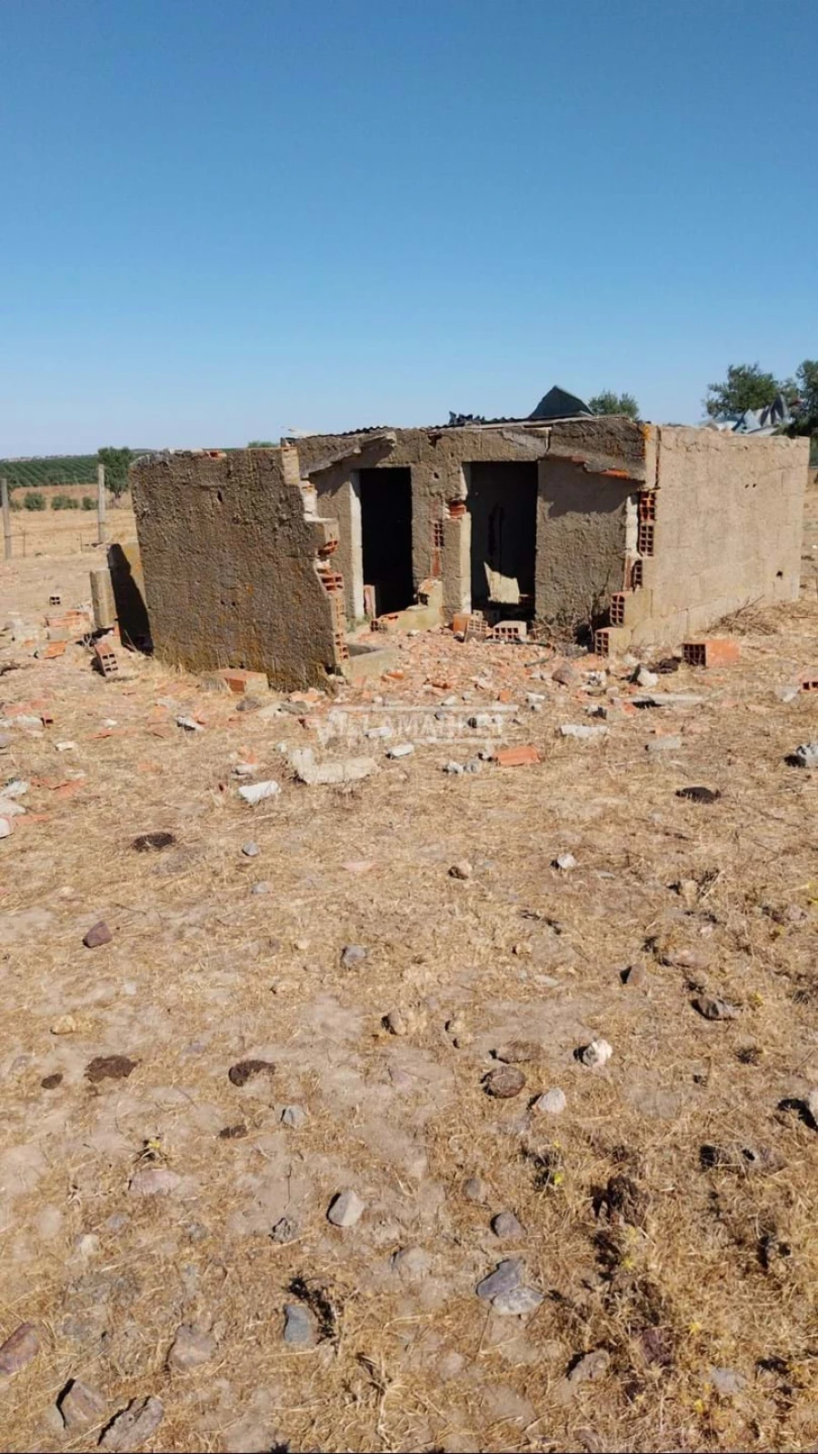 Terreno para Venda em Aljustrel e Rio de Moinhos Foto 15