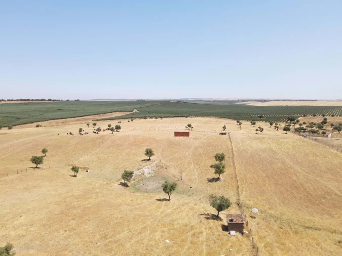 Terreno para Venda em Aljustrel e Rio de Moinhos Foto 21