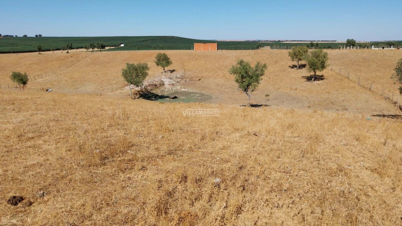 Terreno para Venda em Aljustrel e Rio de Moinhos Foto 13