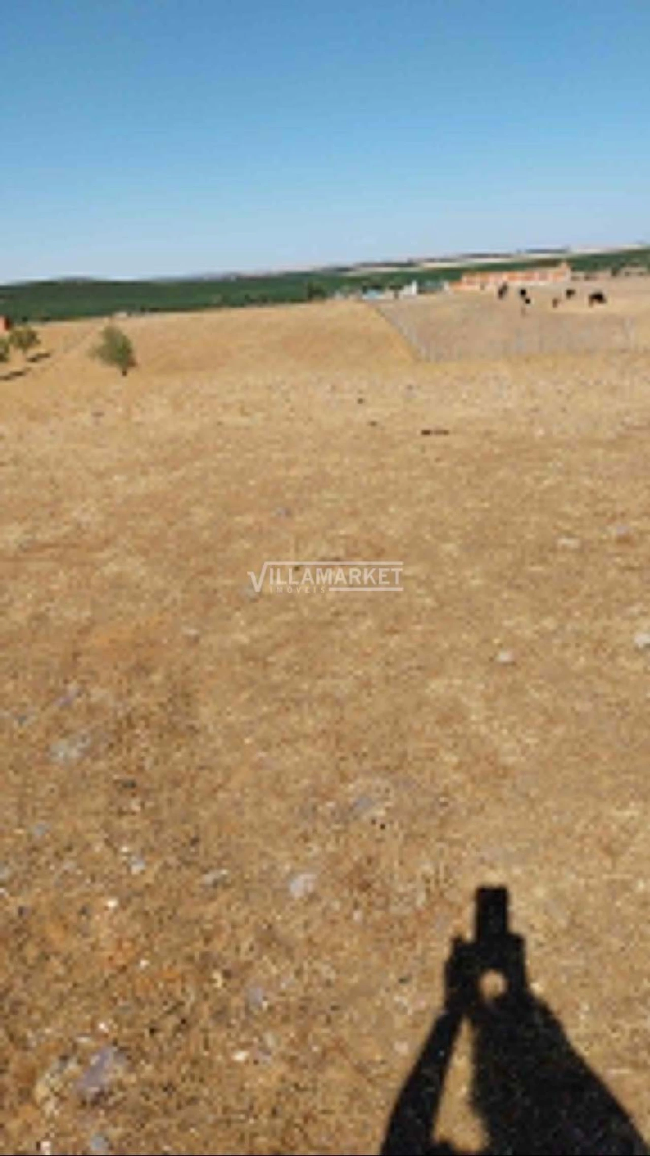 Terreno para Venda em Aljustrel e Rio de Moinhos Foto 5