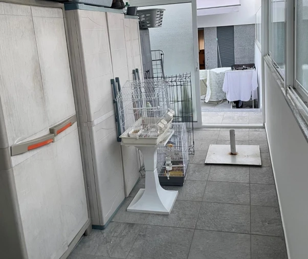 Moradia T3 para Venda em Malagueira e Horta das Figueiras Foto 10